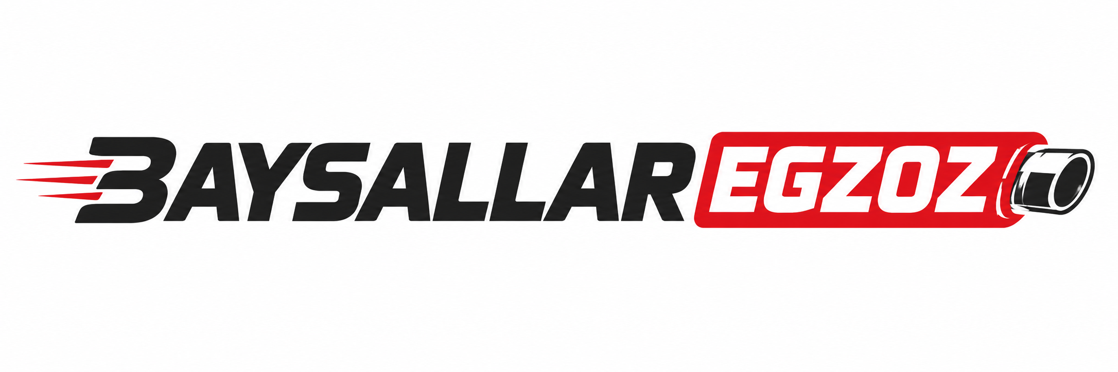 Baysallar Egzoz